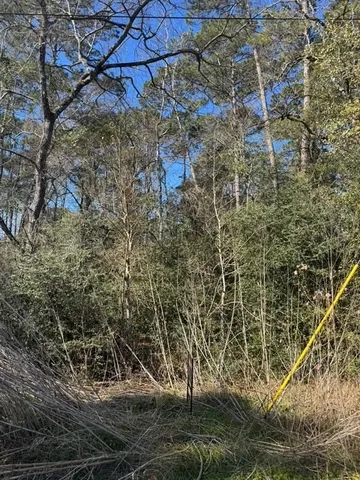 $35,000 | 0 Sycamore Drive, Montgomery, TX 77356