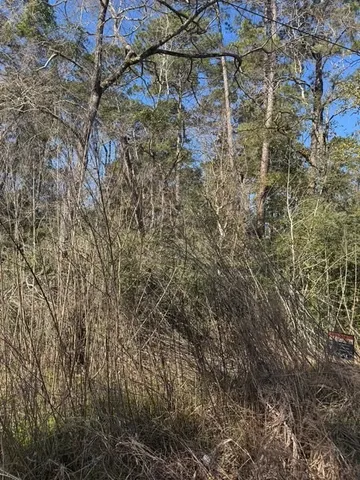 $35,000 | 0 Sycamore Drive, Montgomery, TX 77356