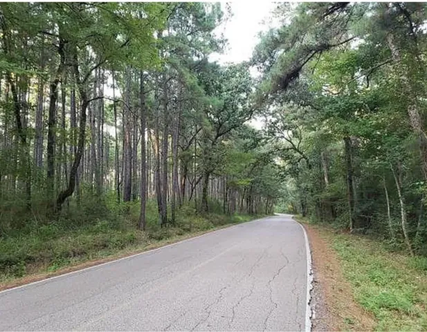 $35,000 | 0 Sycamore Drive, Montgomery, TX 77356