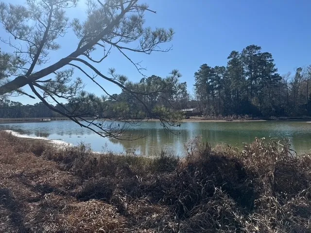 $35,000 | 0 Sycamore Drive, Montgomery, TX 77356