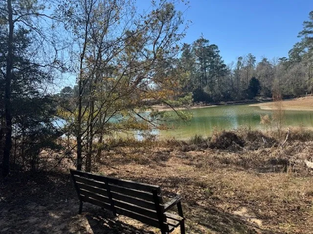 $35,000 | 0 Sycamore Drive, Montgomery, TX 77356