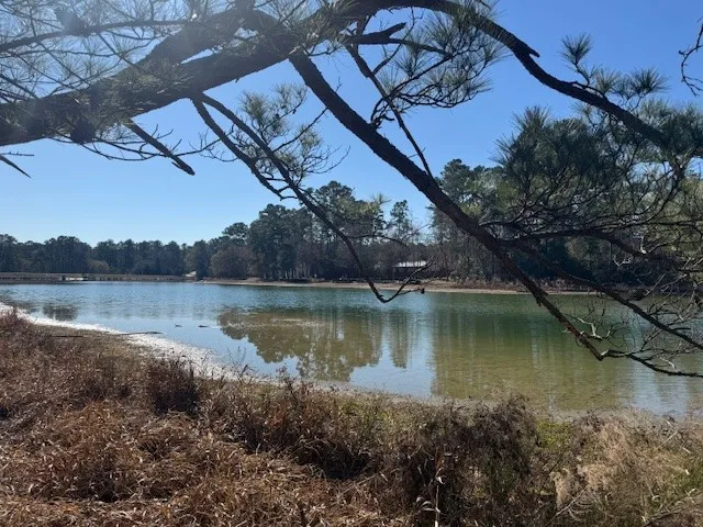 $35,000 | 0 Sycamore Drive, Montgomery, TX 77356