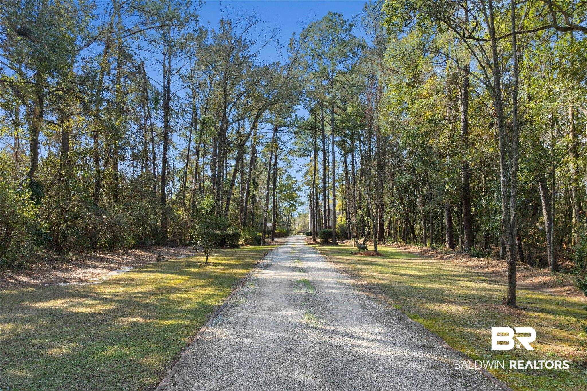 3847 Riviere Du Chien Road Mobile, AL 36693 - Photo 5 of 51 View of dirt / gravel road with a view of trees