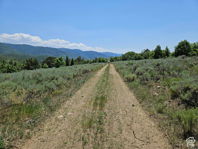 155 East Wolf Hollow Road South, Unit 155 Fairview, UT 84629 - Photo 10 of 13 Mountain view with rural landscape