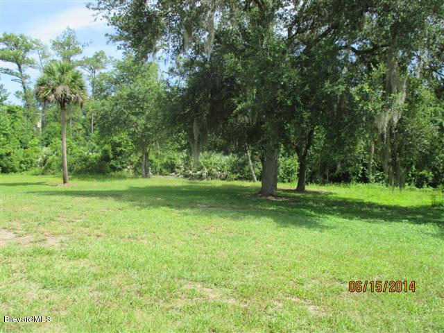 3488 Lionel Road Mims, FL 32754 - Photo 19 of 19 back yard