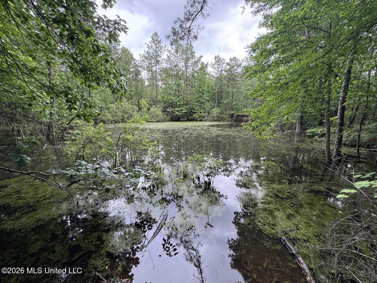 2986 Oldenburg Road Meadville, MS 39653 - Photo 44 of 44 IMG_3581 Large