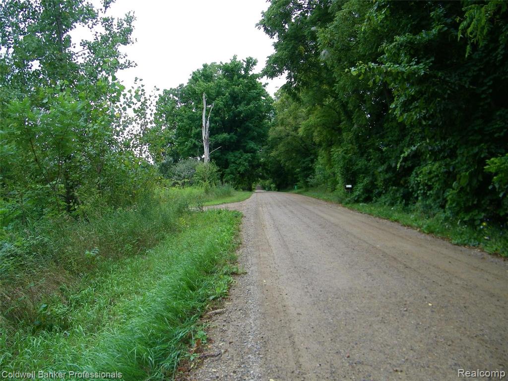 Vacant Bohlman Road Dryden, MI 48428 - Photo 2 of 8
