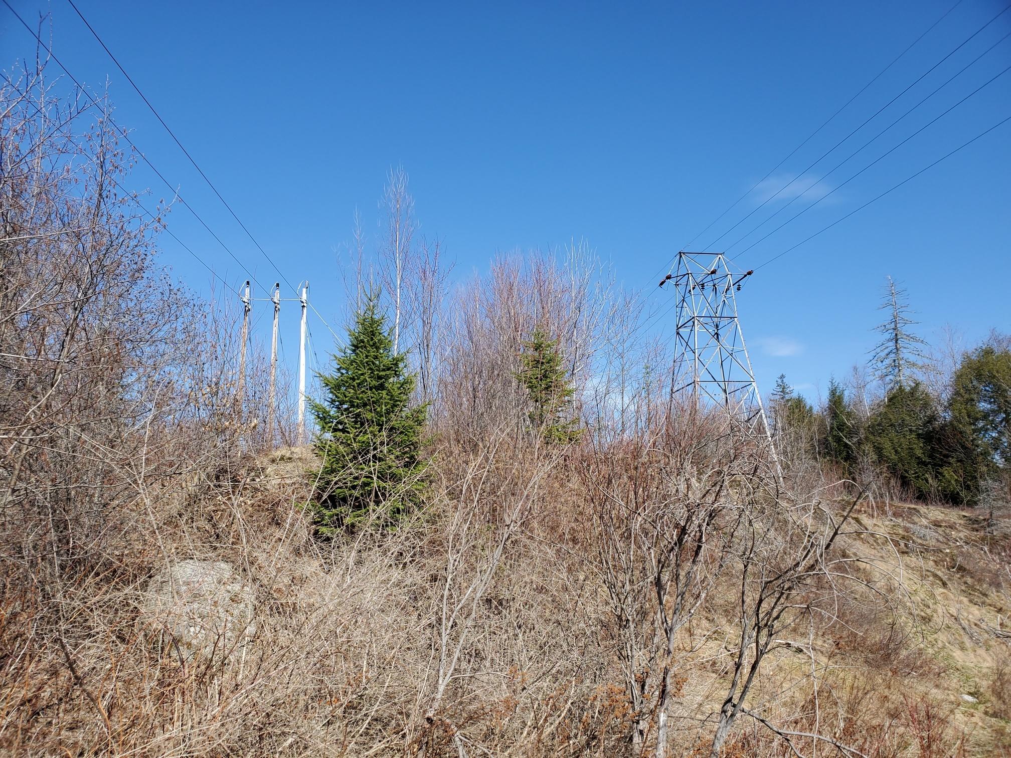 67 Powersville Road Medway, ME 04460 - Photo 41 of 55 the transmission lines way down back