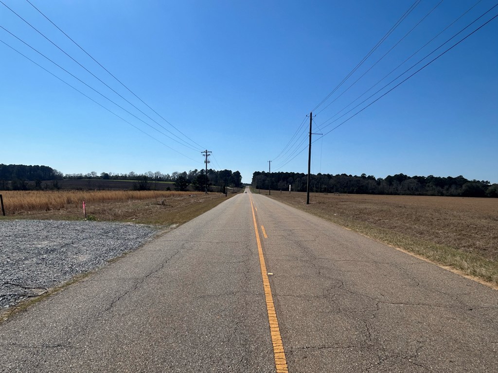 15-ac Webb Road Dothan, AL 36301 - Photo 19 of 33
