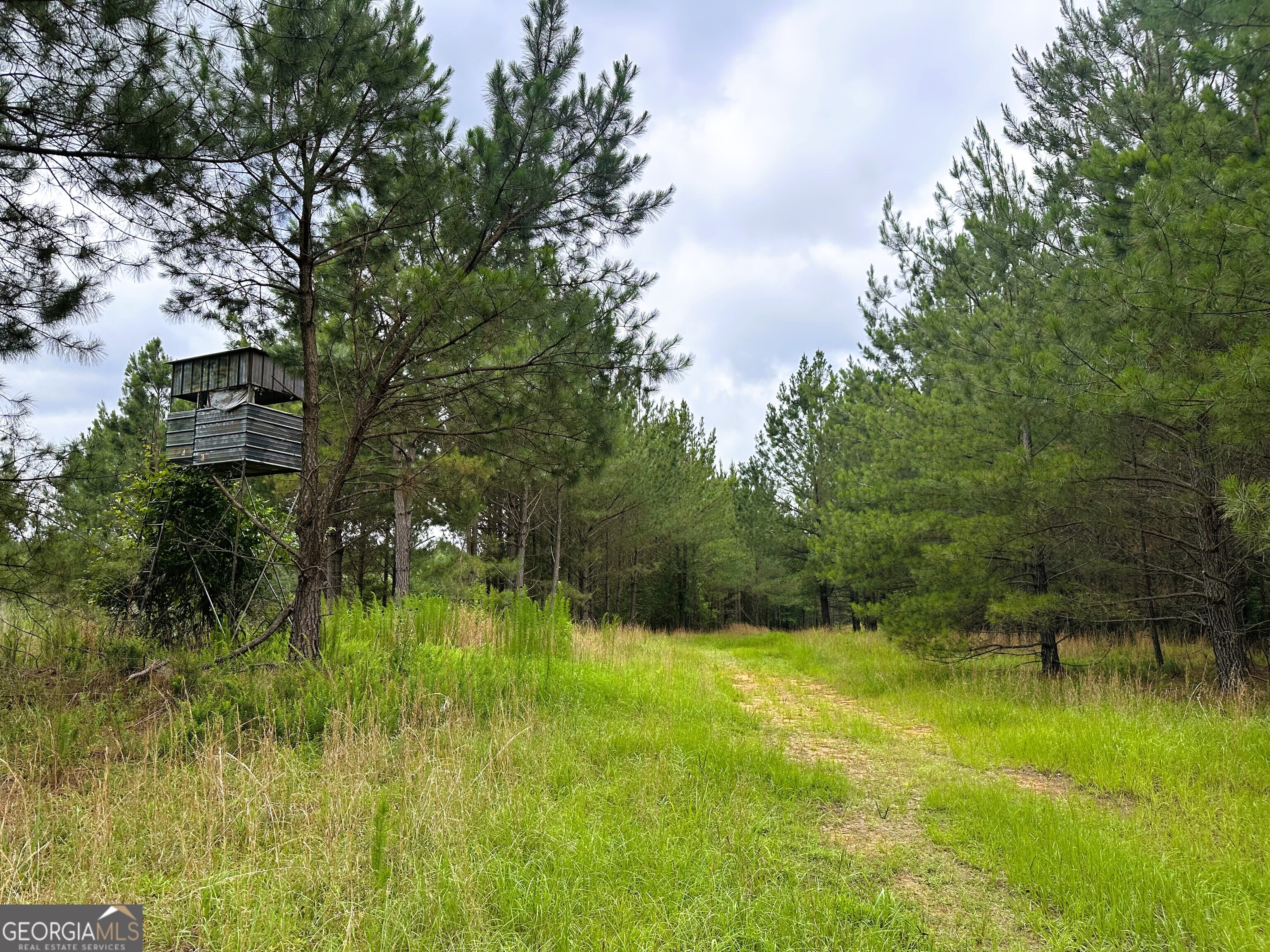 3330 Callaway Road Greensboro, GA 30642 - Photo 61 of 83