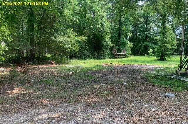 a view of outdoor space with trees all around