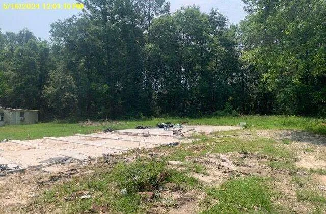 a view of a yard with plants and trees