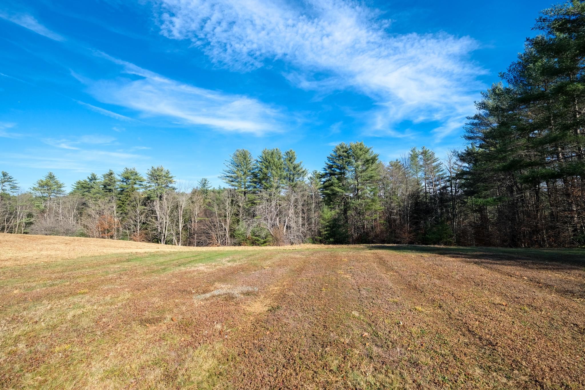 0 Center Road, Unit PARCEL 1 Cavendish, VT 05142 - Photo 8 of 16