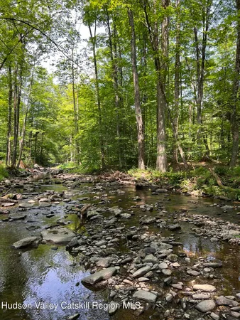 a view of outdoor space and trees