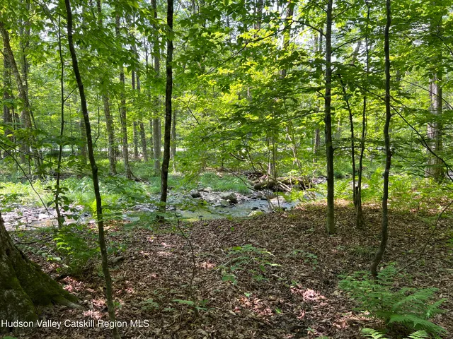 a view of outdoor space and trees