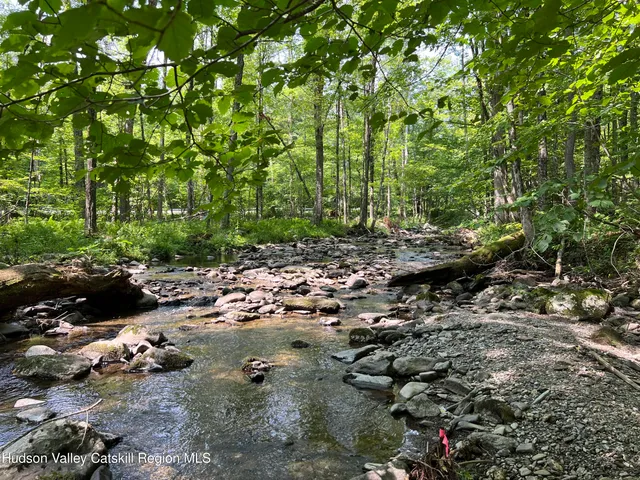 a view of a forest with trees
