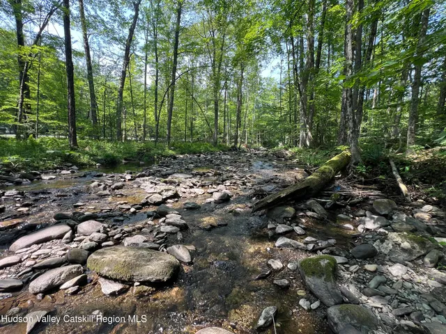 a view of a forest with trees