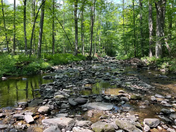 a view of forest