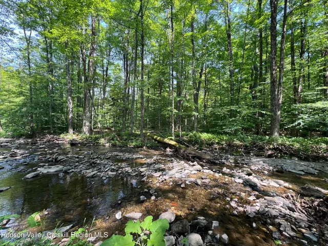 a view of a lake with lots of trees