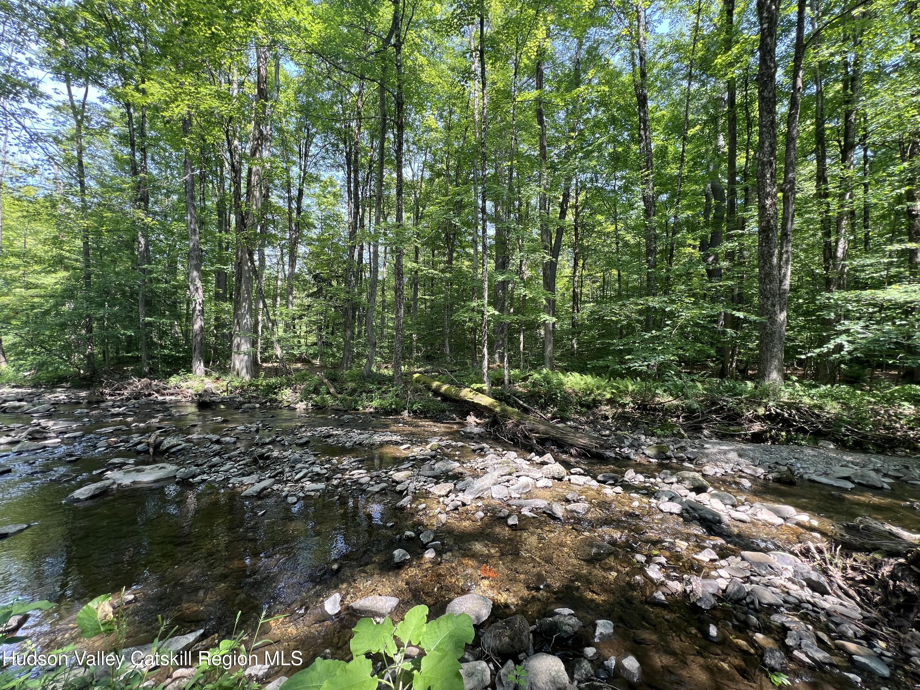 0 Ny-22 Austerlitz, NY 12017 - Photo 16 of 20 a view of forest