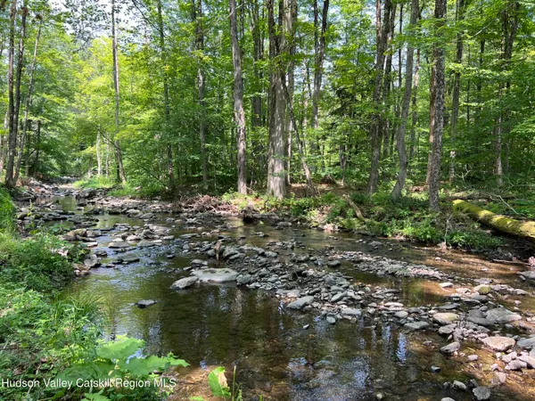 a view of outdoor space and green space