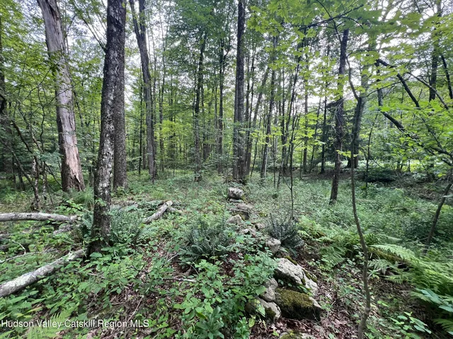a view of a water pond with green space