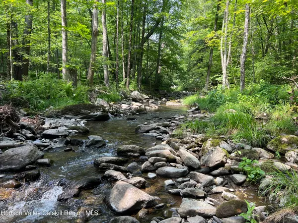 a view of a forest with trees