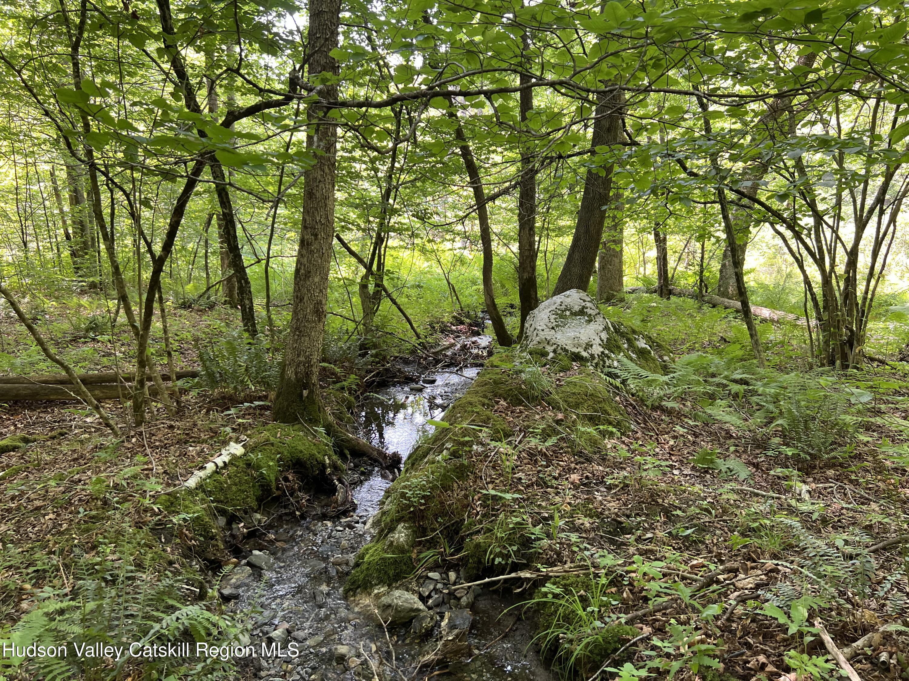 0 Ny-22 Austerlitz, NY 12017 - Photo 5 of 20 a backyard of a house with lots of green space