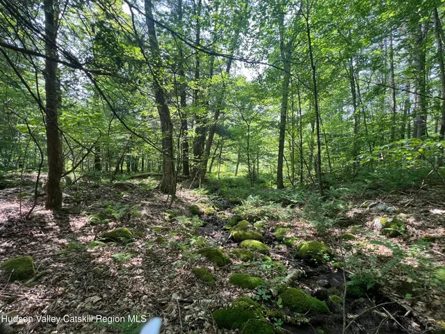 a view of outdoor space and green space