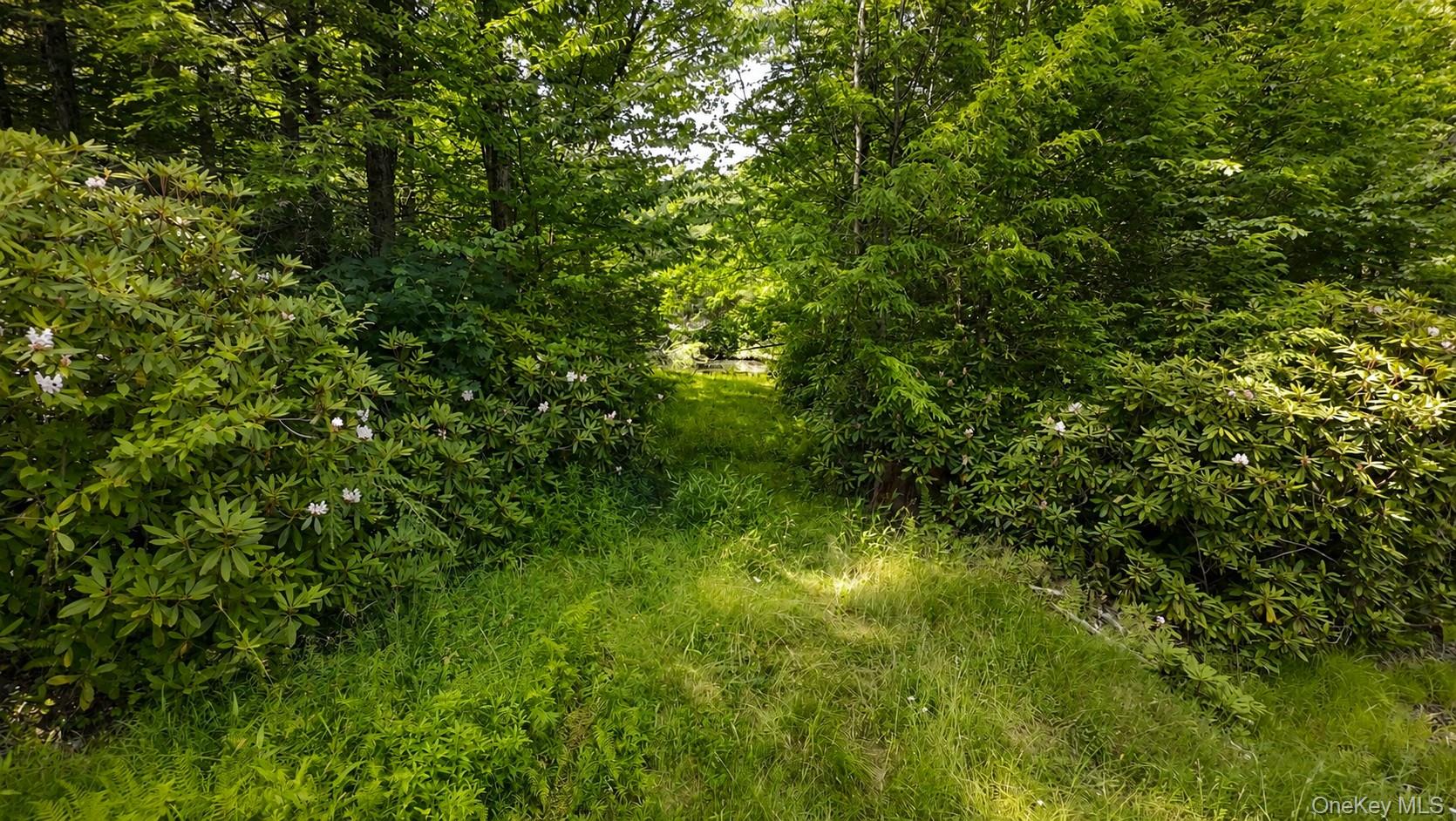 Taylor Road Mountain Dale, NY 12763 - Photo 2 of 15