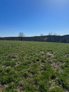 1234 Purtle Road Lafayette, TN 37083 - Photo 4 of 10 Gallery Image 4