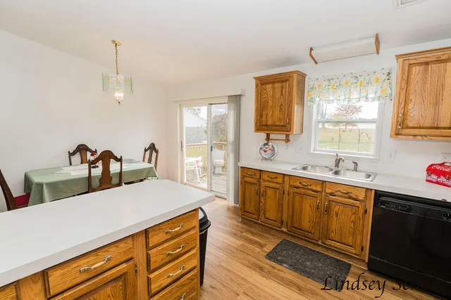 $220,000 | 196 East Peck Lake Road, Ionia, MI 48846