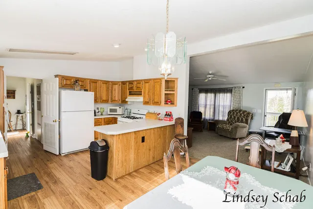 $220,000 | 196 East Peck Lake Road, Ionia, MI 48846