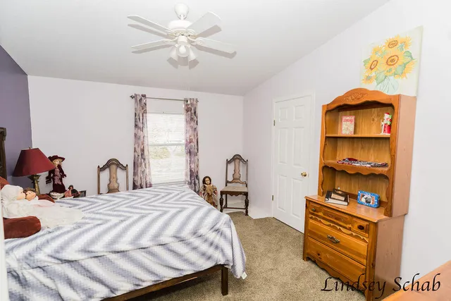 $220,000 | 196 East Peck Lake Road, Ionia, MI 48846