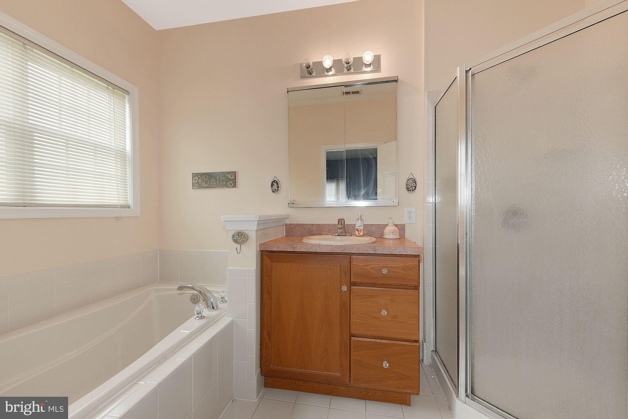 4 Shady Ridge Court Columbus, NJ 08022 - Photo 22 of 38 Primary Bath with stall shower and soaking tub