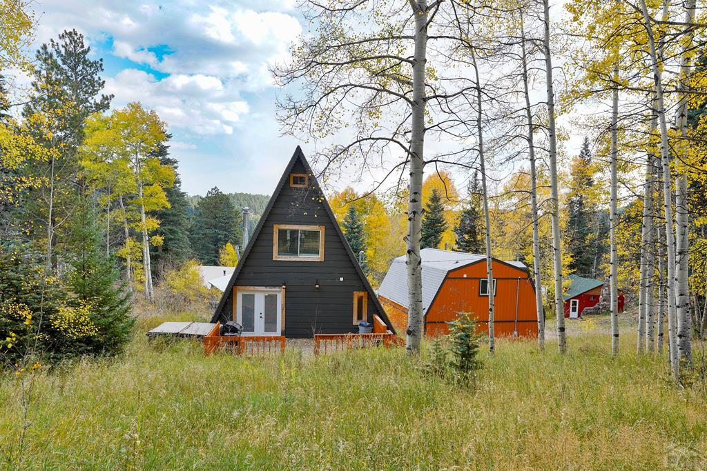 48 Angel Road Rye, CO 81069 - Photo 2 of 25 Gallery Image 2
