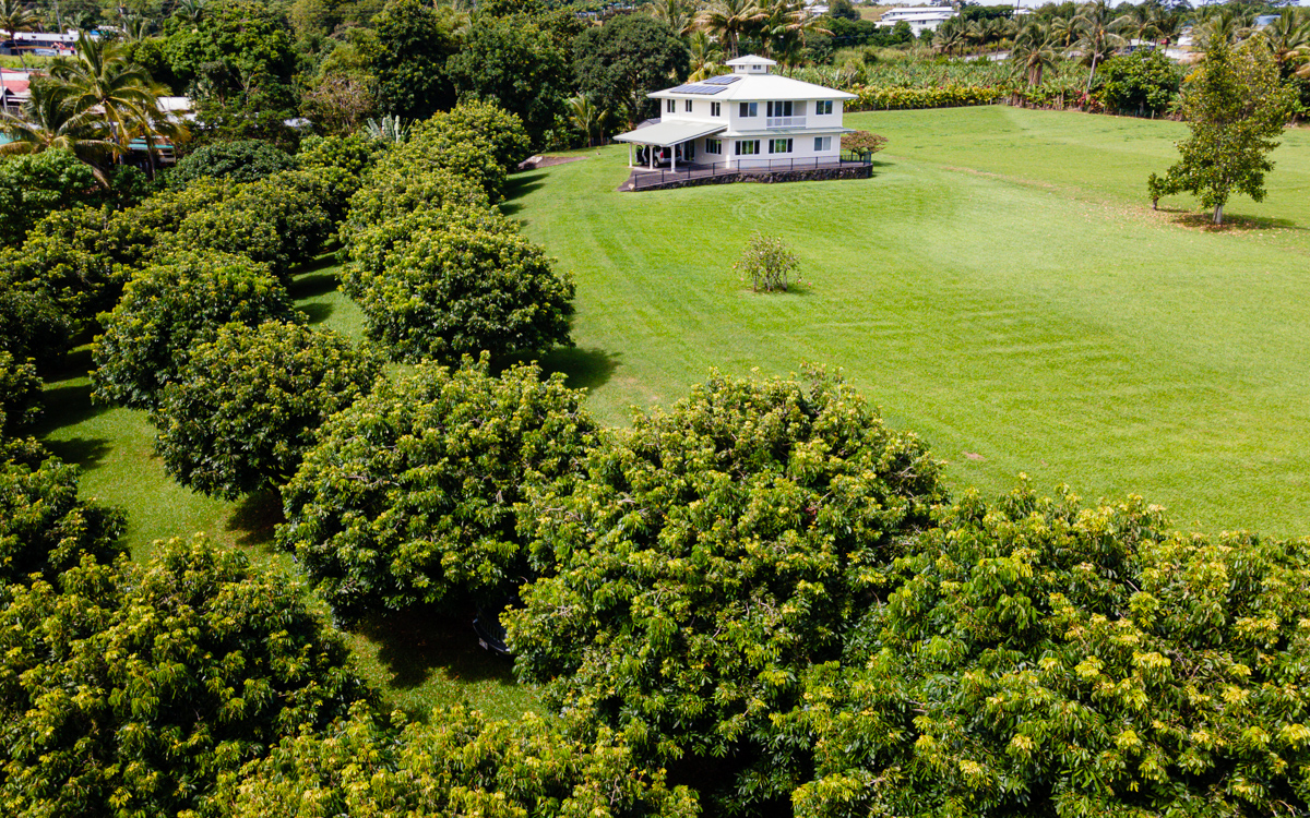 a view of a garden with a car park in the back