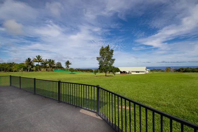 a view of a green field and an trees
