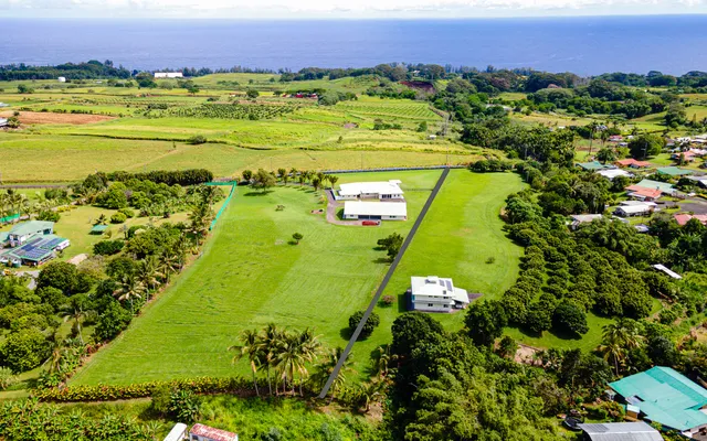 a view of a lake in a yard