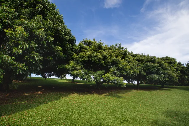 a view of a livingroom with wooden floor and window