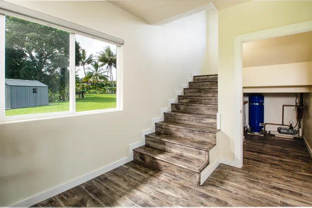 a view of a plant in a garden