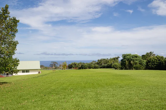 a view of yard with ocean view