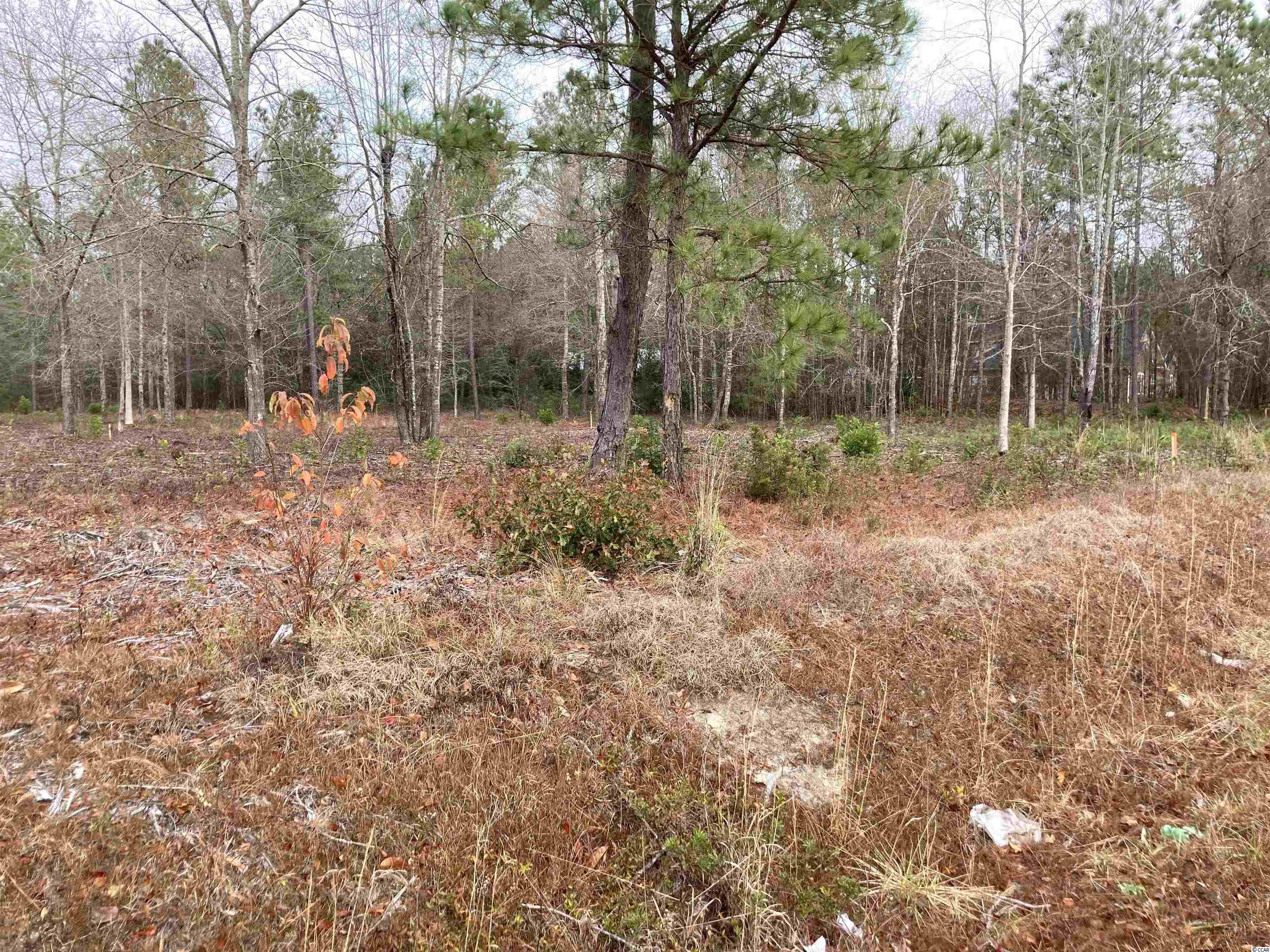 Lot A2 Alford Road Conway, SC 29526 - Photo 1 of 2 Gallery Image 1