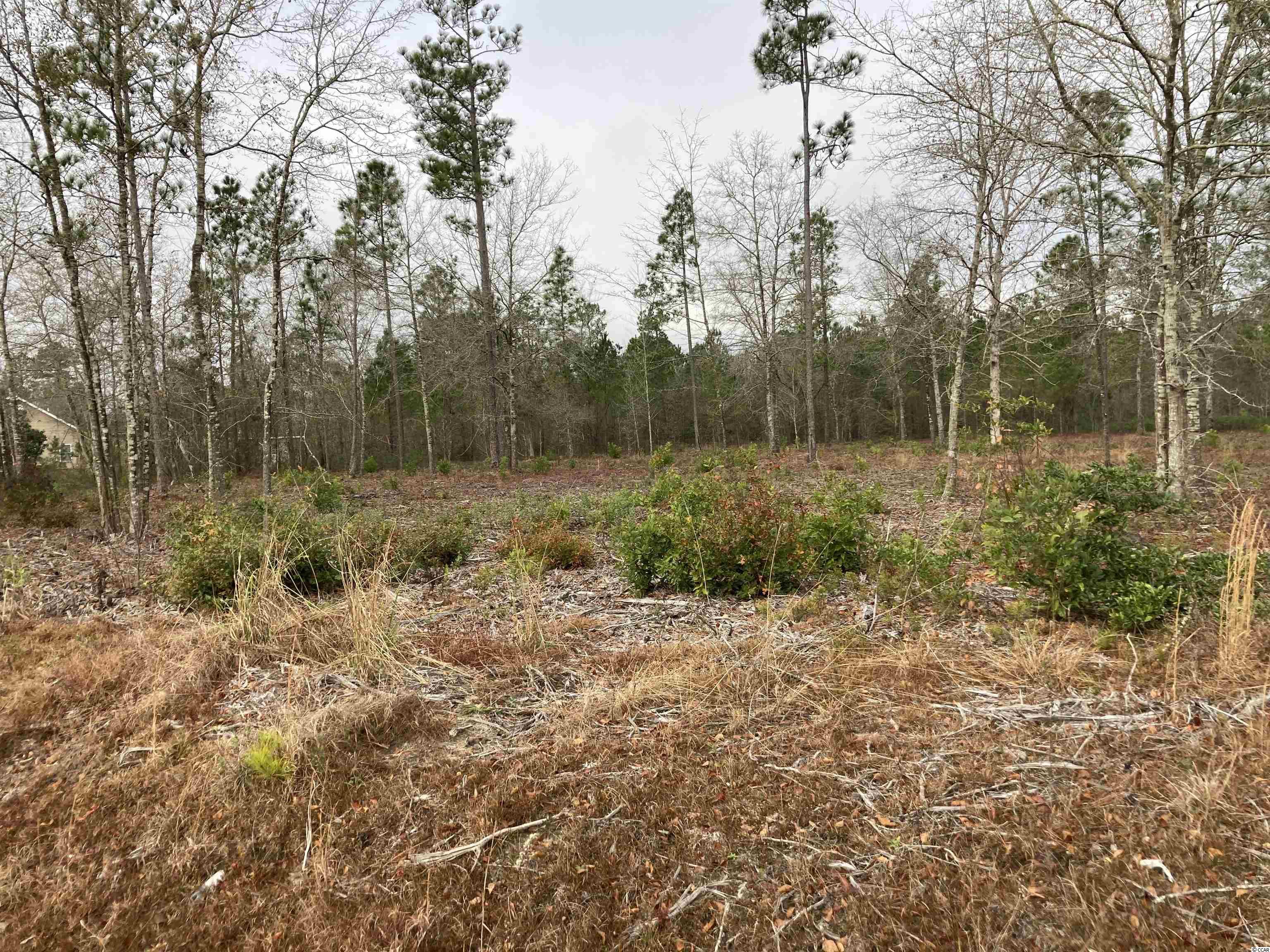 Lot A2 Alford Road Conway, SC 29526 - Photo 2 of 2 Gallery Image 2