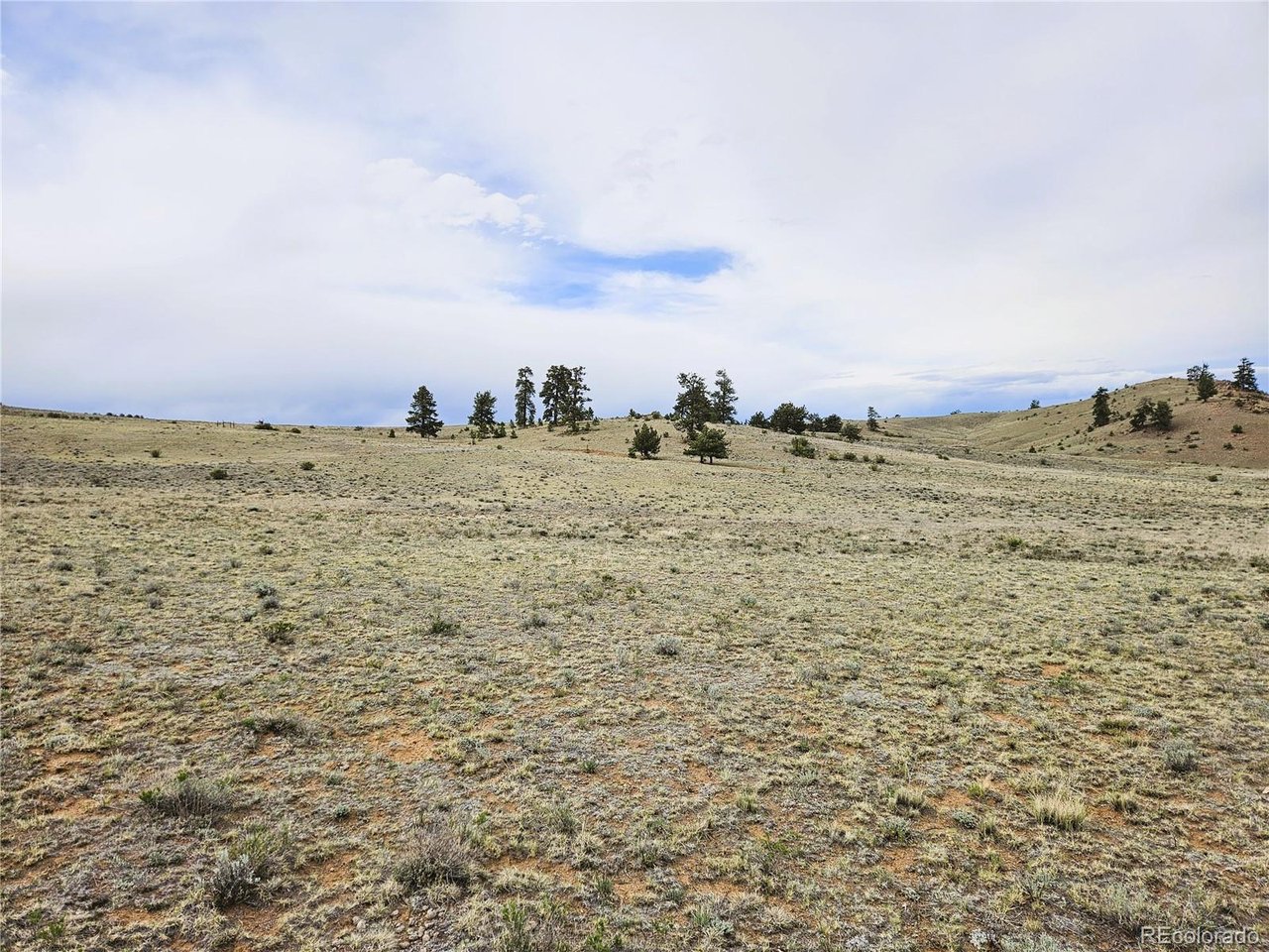 24131 Chato Road Hartsel, CO 80449 - Photo 21 of 28