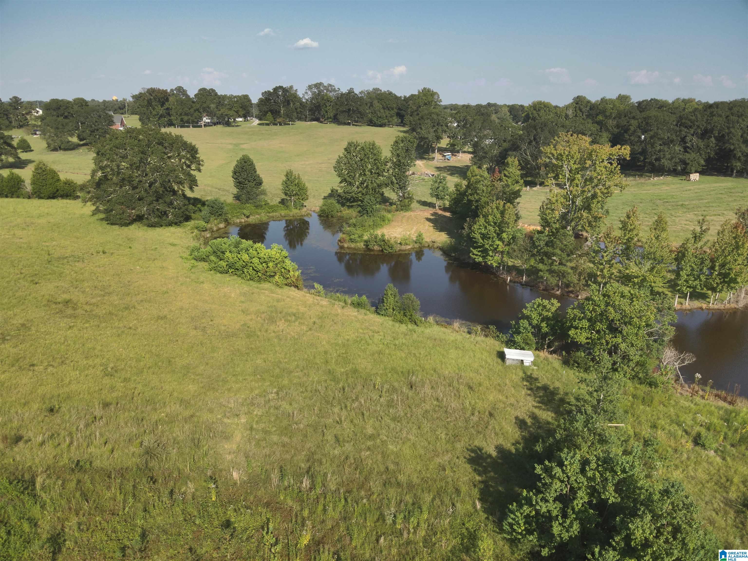 0 New Harmony Road, Unit 35 ACRES / Clanton, AL 35045 - Photo 9 of 21