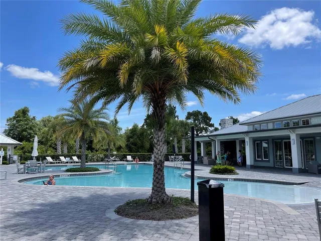 a palm tree sitting in front of a house with a yard