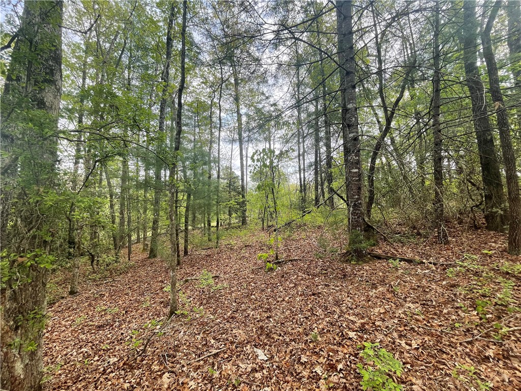Lot 4 Flat Shoals Road Walhalla, SC 29691 - Photo 45 of 50 Gallery Image 45