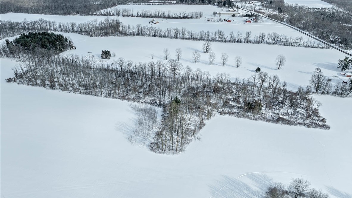 Bethany Leroy Road Stafford, NY 14143 - Photo 4 of 7