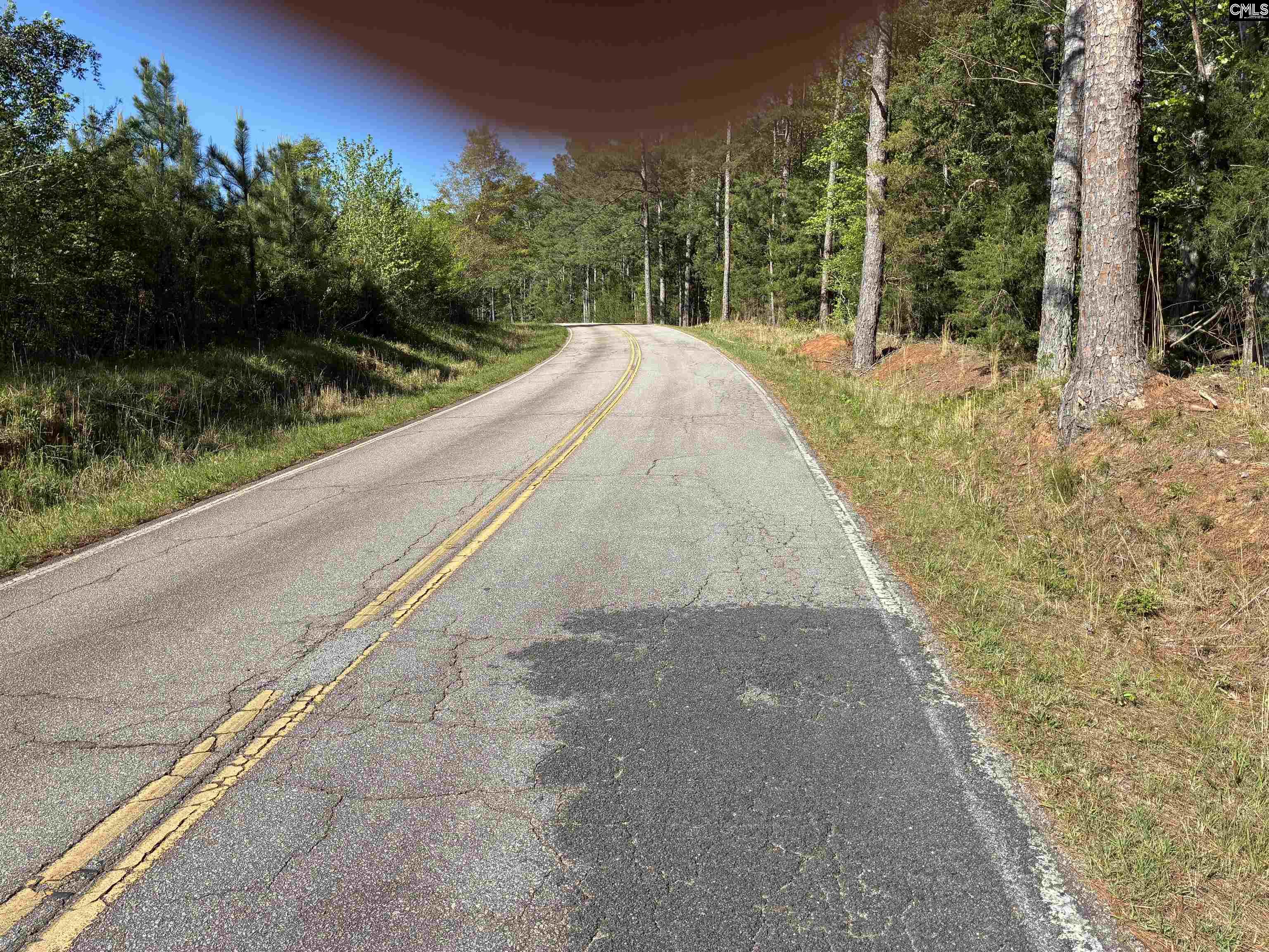 0 Mud Creek Road Newberry, SC 29108 - Photo 1 of 10